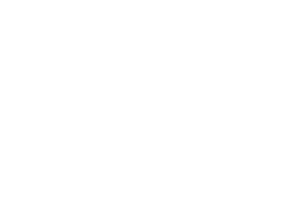 visiperf-logo-white-3
